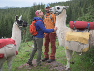 A couple hiking with llamas.