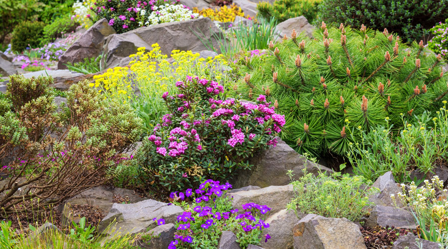 Betty Ford Alpine Gardens - Tivoli Lodge