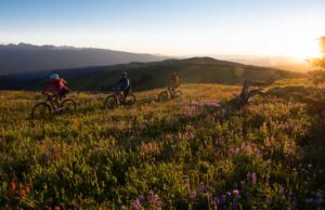 three mountain bikers go on a group ride through the wildflowers Tivoli Lodge Vail Colorado