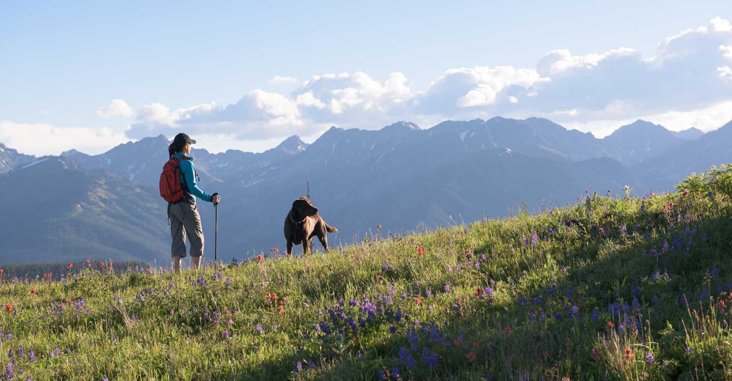 woman and her dog enjoy summer hike among the wildflowers and mountains Tivoli Lodge Vail Colorado