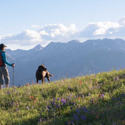 woman and her dog enjoy summer hike among the wildflowers and mountains Tivoli Lodge Vail Colorado