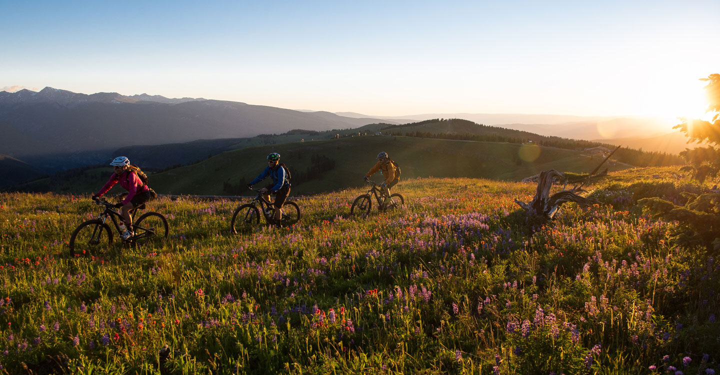 three mountain bikers take to the trail surrounded by wildfliwers Tivoli Lodge Vail Colorado