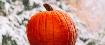 large pumpkin surrounded by snow Tivoli Lodge Vail Colorado