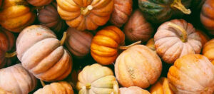 small pumpkins as decoration for Thanksgiving Tivoli Lodge Vail Colorado